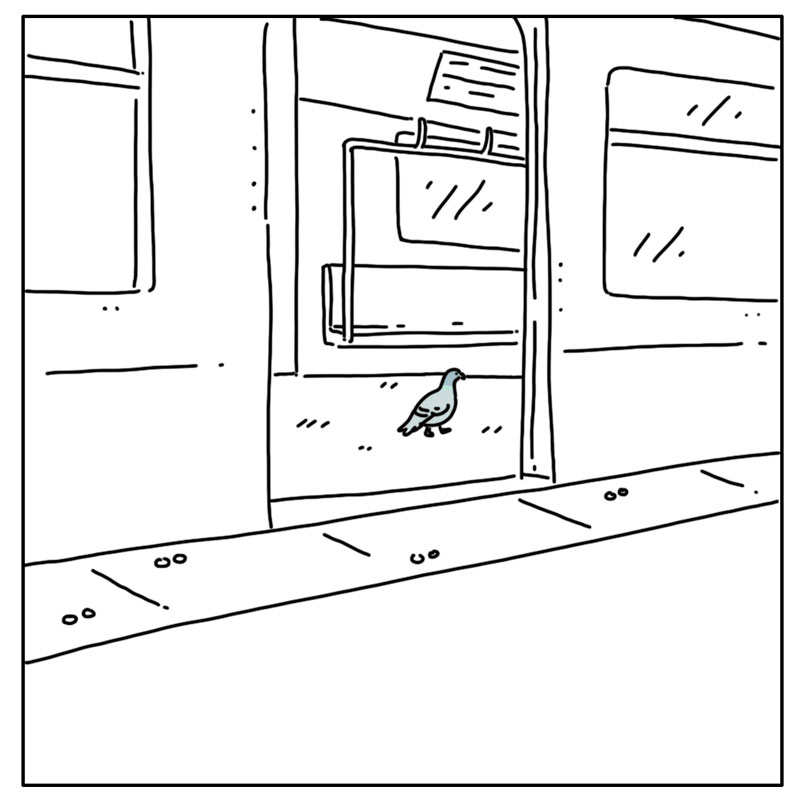https://cdn.tinyview.com/they-can-talk/2025/08/11/train/pigeon_train2.jpg