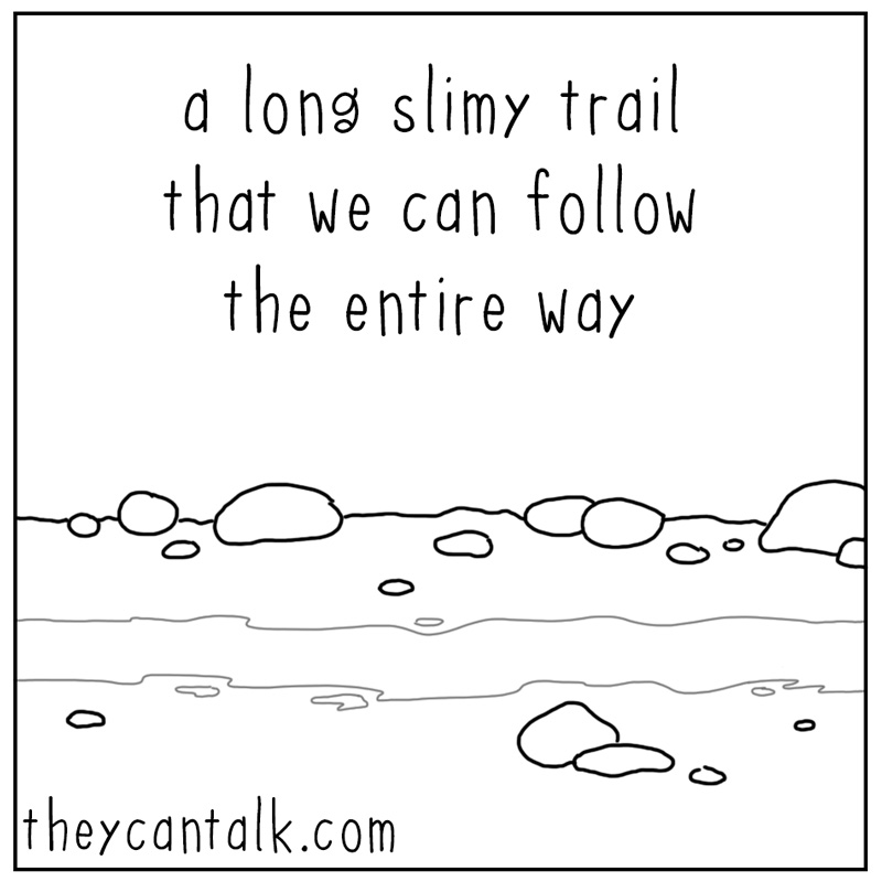 https://cdn.tinyview.com/they-can-talk/2025/08/22/trail/snail_trail3.jpg