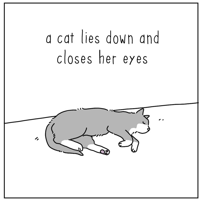 https://cdn.tinyview.com/they-can-talk/2025/08/25/zoomies/cat_zoomies1.jpg