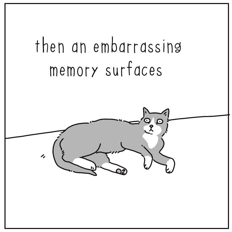 https://cdn.tinyview.com/they-can-talk/2025/08/25/zoomies/cat_zoomies2.jpg