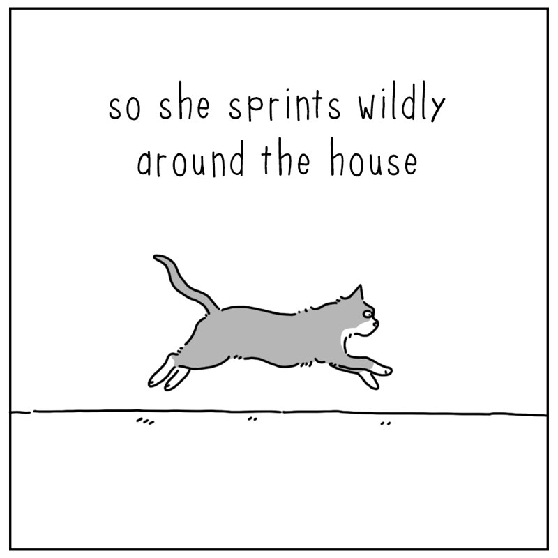 https://cdn.tinyview.com/they-can-talk/2025/08/25/zoomies/cat_zoomies3.jpg