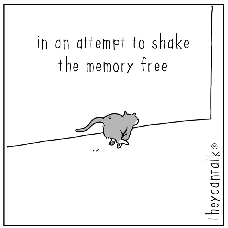 https://cdn.tinyview.com/they-can-talk/2025/08/25/zoomies/cat_zoomies4.jpg