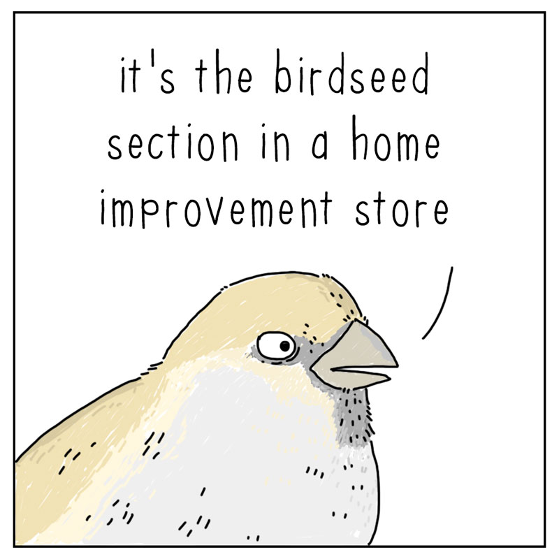 https://cdn.tinyview.com/they-can-talk/2025/08/29/heaven/bird_heaven2.jpg
