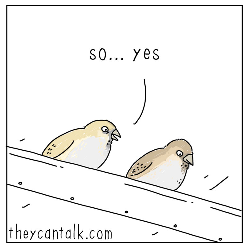 https://cdn.tinyview.com/they-can-talk/2025/08/29/heaven/bird_heaven3.jpg