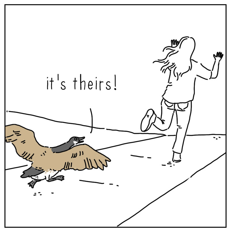https://cdn.tinyview.com/they-can-talk/2025/09/01/problem/goose_nest3.jpg