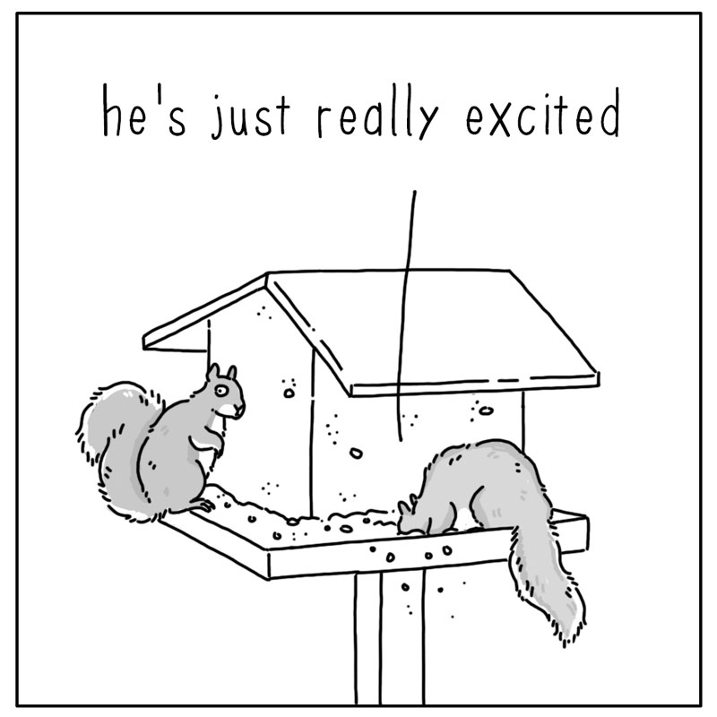 https://cdn.tinyview.com/they-can-talk/2025/09/18/excited/squirrel_excited4.jpg