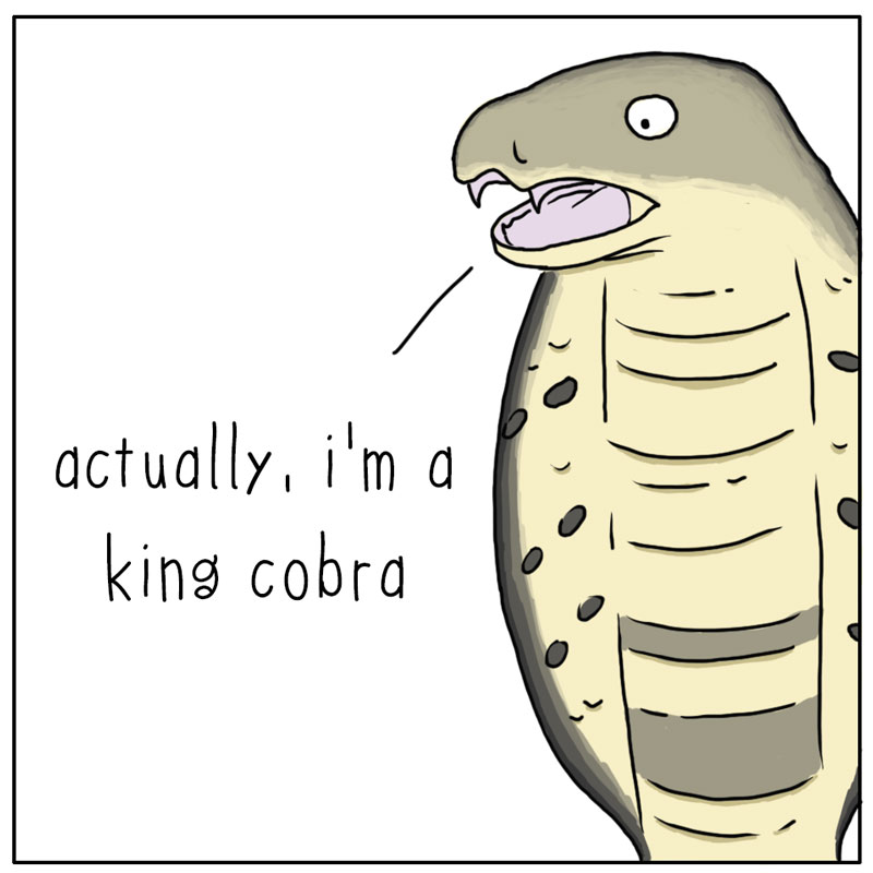 https://cdn.tinyview.com/they-can-talk/2025/09/26/cobra/snake_king2.jpg