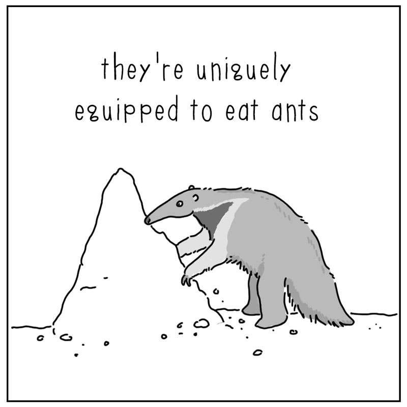 https://cdn.tinyview.com/they-can-talk/2025/10/06/anteater/anteater_design3.jpg