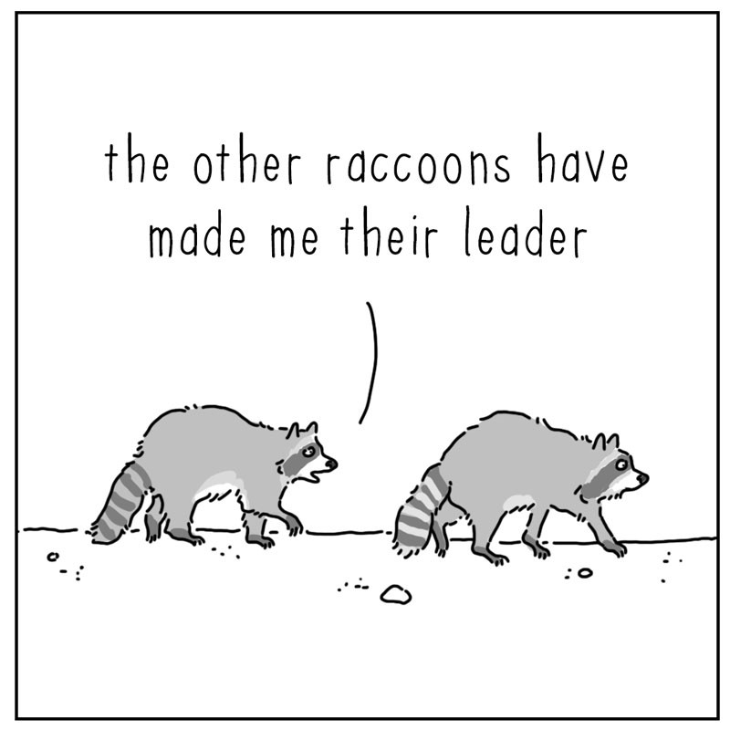 https://cdn.tinyview.com/they-can-talk/2025/10/20/leader/raccoon_leader1.jpg