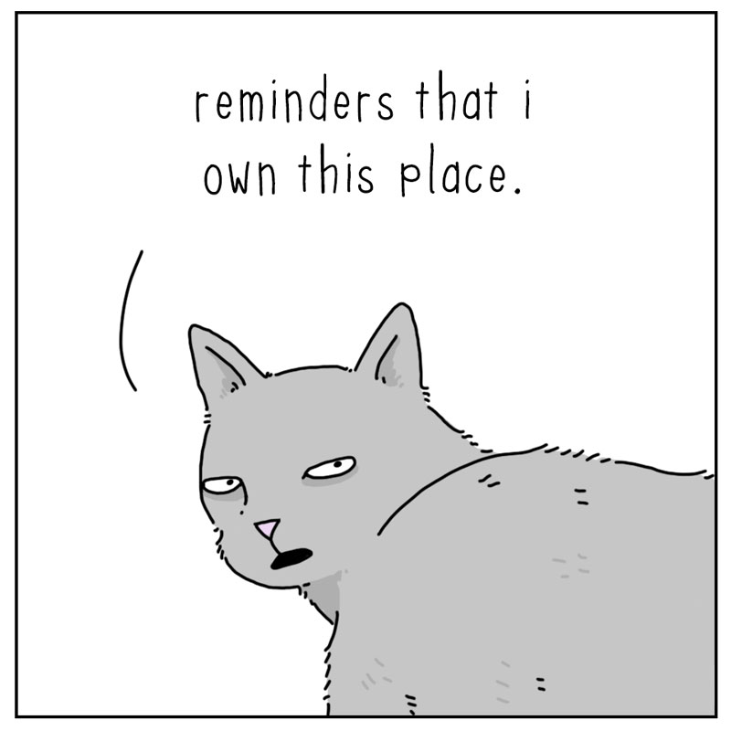 https://cdn.tinyview.com/they-can-talk/2025/11/07/reminders/cat_reminder4.jpg