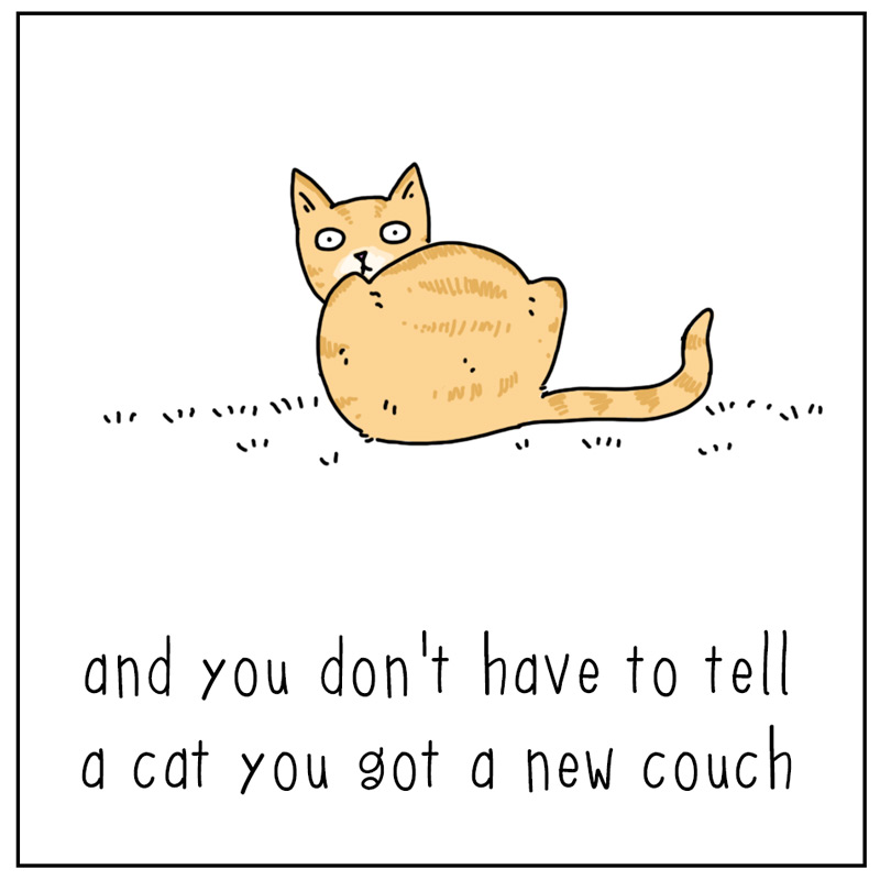https://cdn.tinyview.com/they-can-talk/2025/12/05/instinct/cat_couch3.jpg