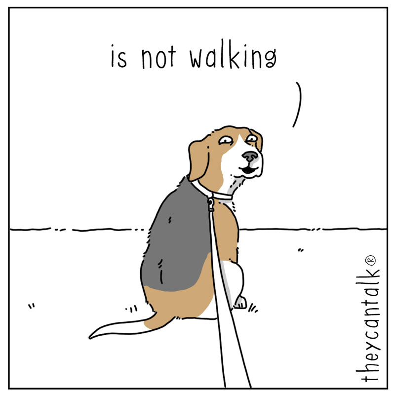 https://cdn.tinyview.com/they-can-talk/2025/12/07/walk/dog_notwalking2.jpg