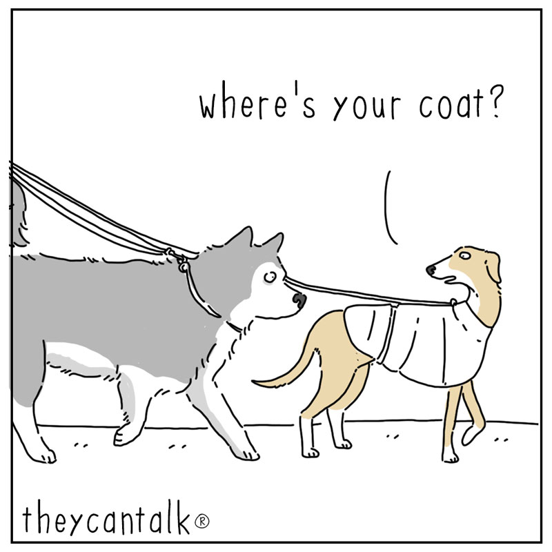 https://cdn.tinyview.com/they-can-talk/2025/12/1/coat/dog_coat1.jpg
