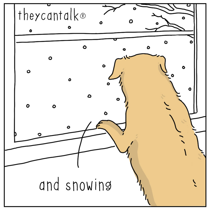 https://cdn.tinyview.com/they-can-talk/2025/12/13/winter/dog_winterwalk3.jpg