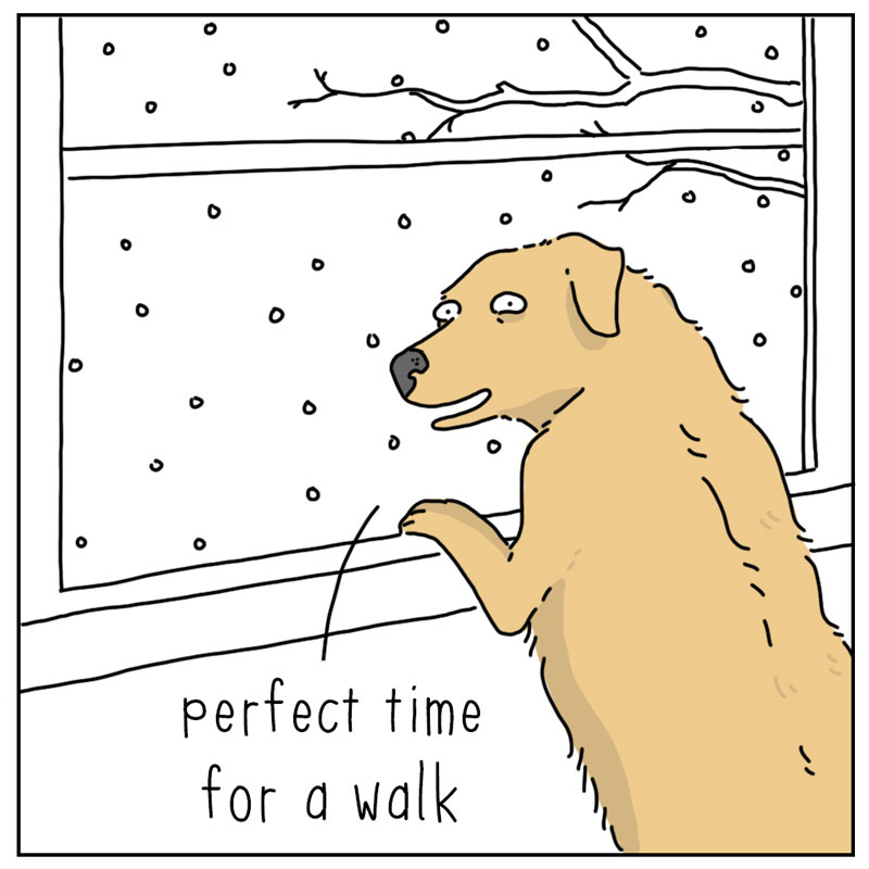 https://cdn.tinyview.com/they-can-talk/2025/12/13/winter/dog_winterwalk4.jpg