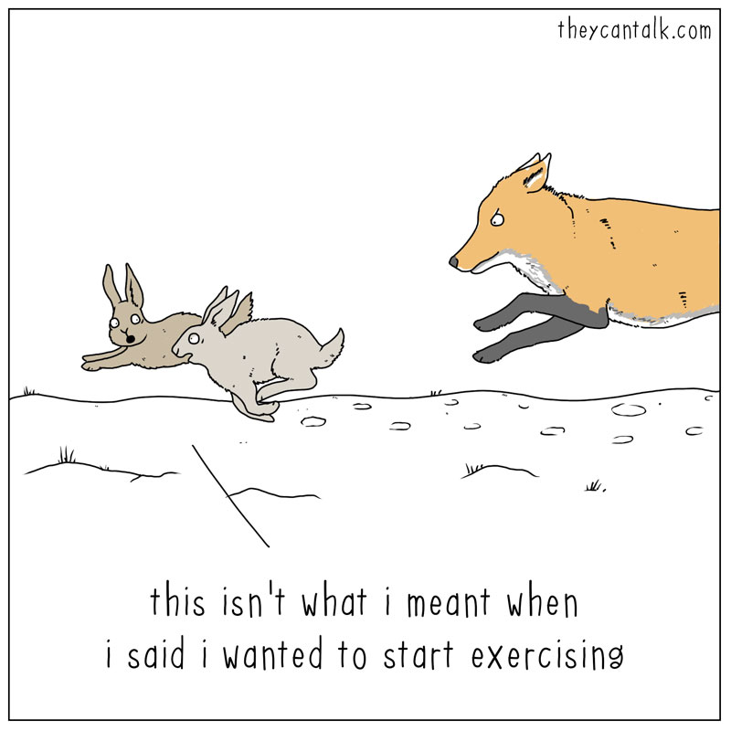 https://cdn.tinyview.com/they-can-talk/2025/12/31/exercise/rabbits_exercise.jpg