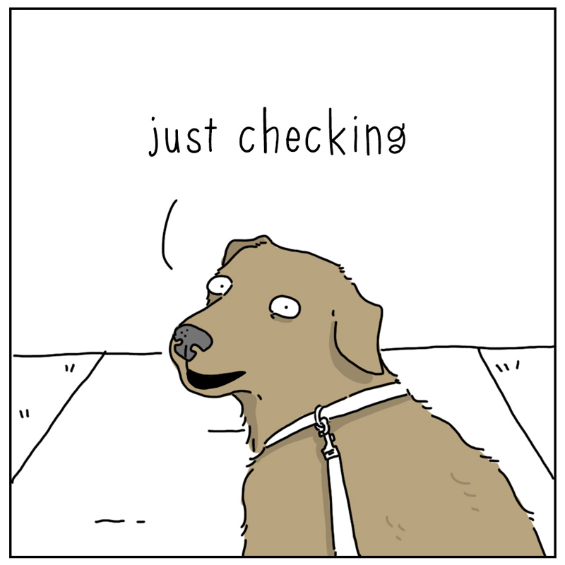 https://cdn.tinyview.com/they-can-talk/2026/01/03/checking/dog_checking4.jpg