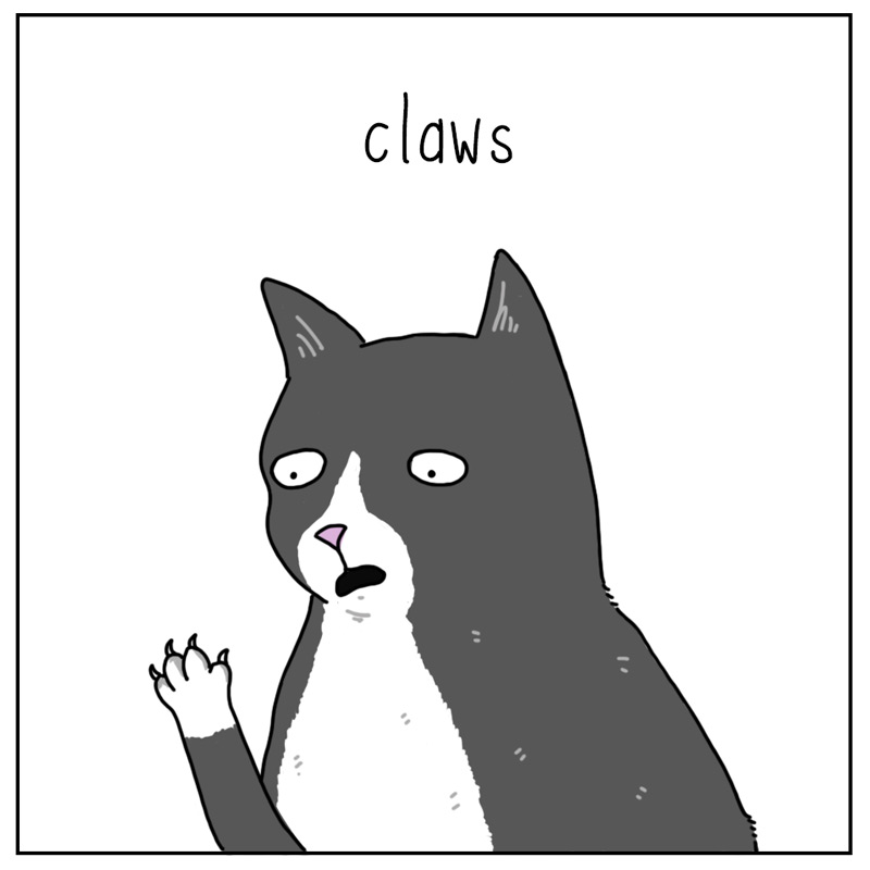 https://cdn.tinyview.com/they-can-talk/2026/01/21/claws/cat_claws1.jpg