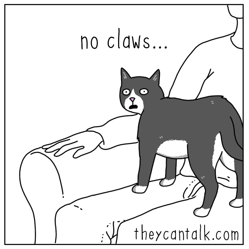 https://cdn.tinyview.com/they-can-talk/2026/01/21/claws/cat_claws4.jpg