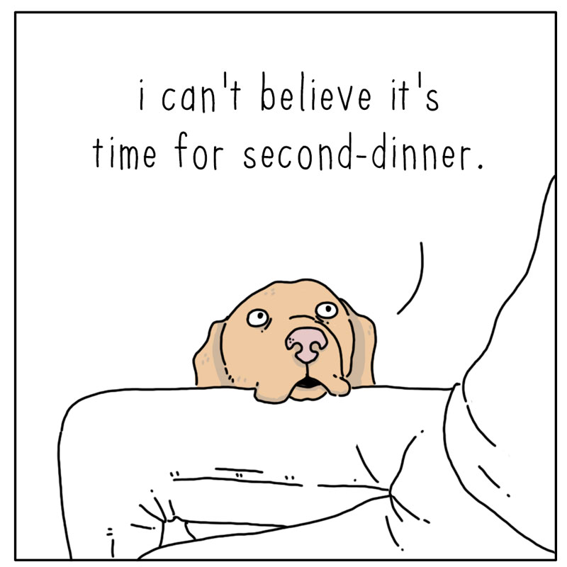 https://cdn.tinyview.com/they-can-talk/2026/01/29/second-dinner/dog_seconddinner1.jpg