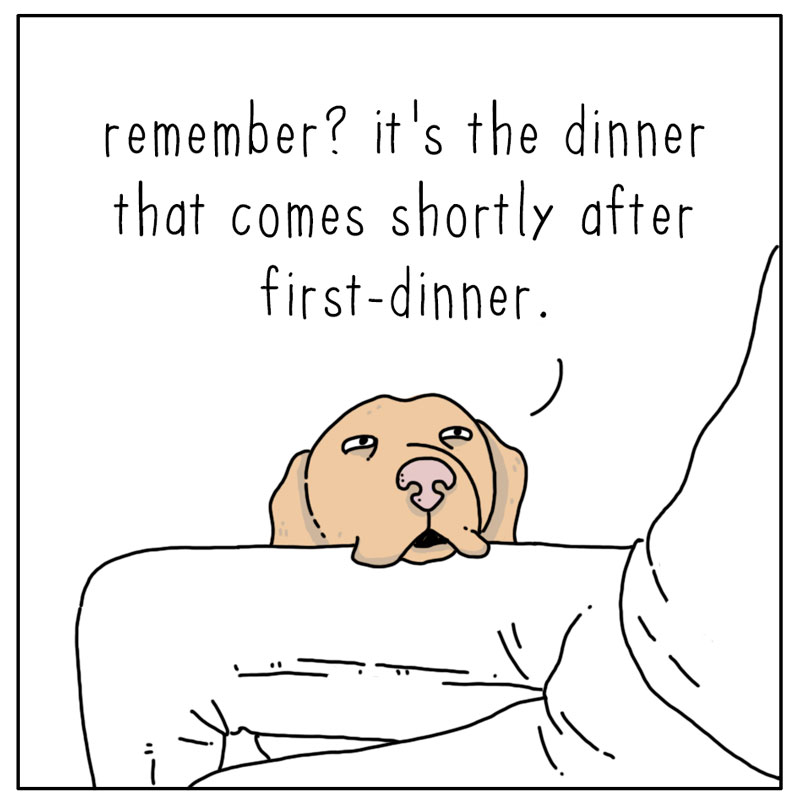 https://cdn.tinyview.com/they-can-talk/2026/01/29/second-dinner/dog_seconddinner2.jpg