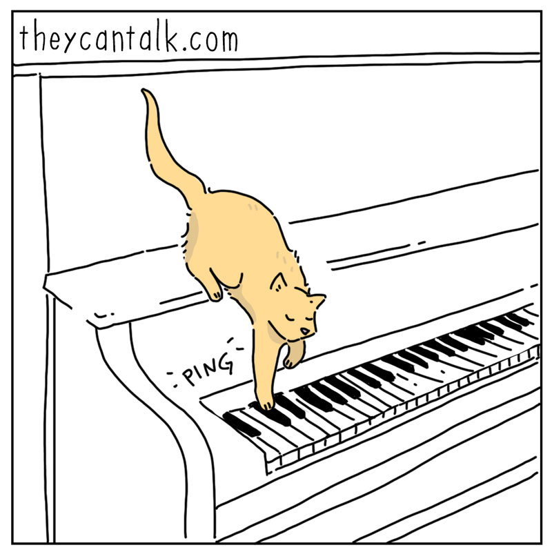 https://cdn.tinyview.com/they-can-talk/2026/02/01/maestro/cat_piano1.jpg