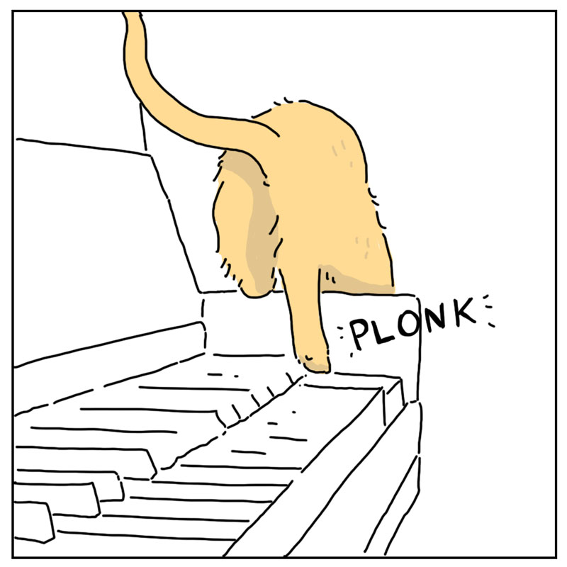 https://cdn.tinyview.com/they-can-talk/2026/02/01/maestro/cat_piano3.jpg