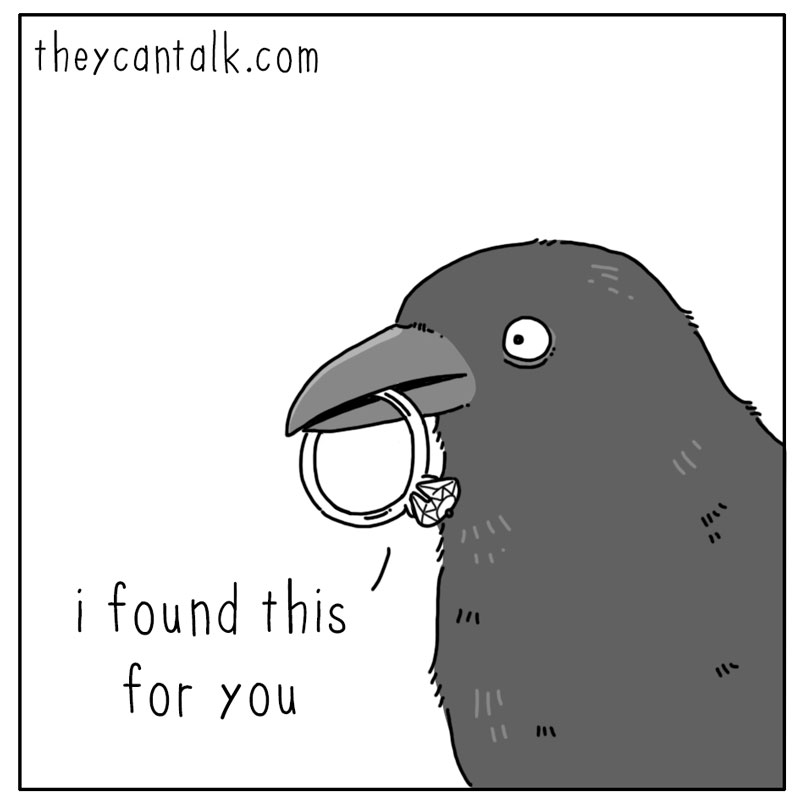 https://cdn.tinyview.com/they-can-talk/2026/02/12/gift/crow_ring1.jpg