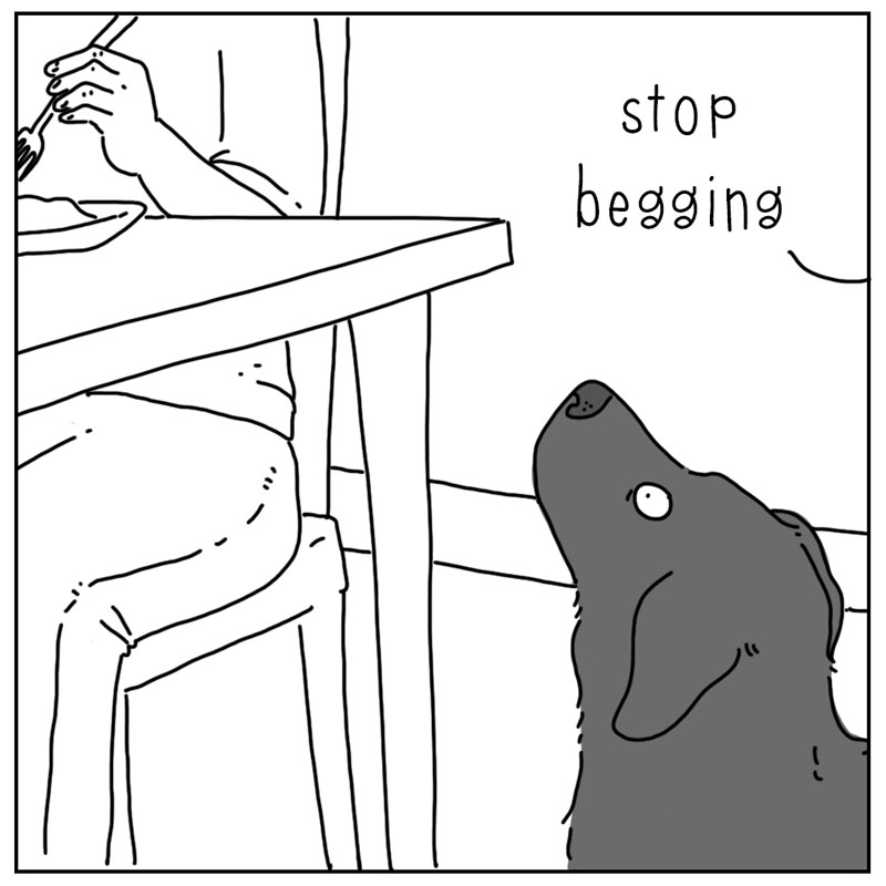 https://cdn.tinyview.com/they-can-talk/2026/02/28/begging/dog_effective1.jpg