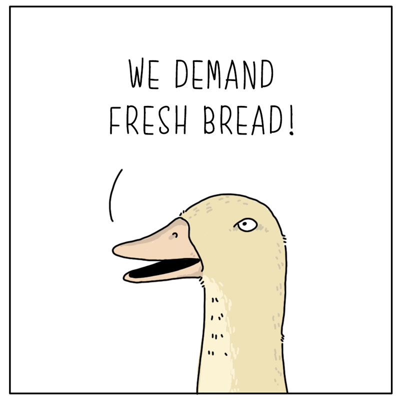 https://cdn.tinyview.com/they-can-talk/2026/03/03/bread/duck_stalebread2.jpg