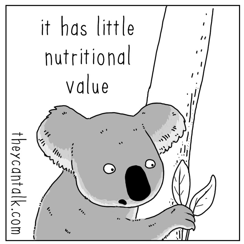 https://cdn.tinyview.com/they-can-talk/2026/03/18/koalas/koala_convenient1.jpg