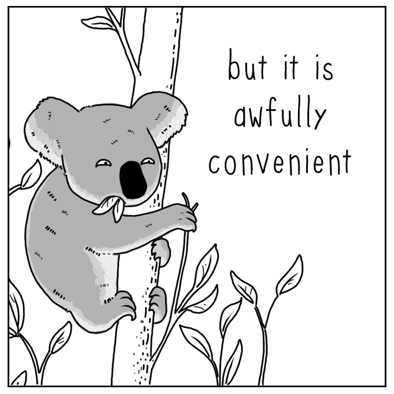https://cdn.tinyview.com/they-can-talk/2026/03/18/koalas/koala_convenient3.jpg
