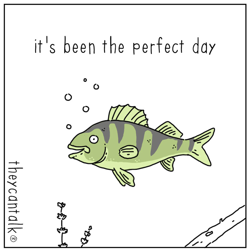 https://cdn.tinyview.com/they-can-talk/2026/03/28/perfect/fish_bestday1.jpg