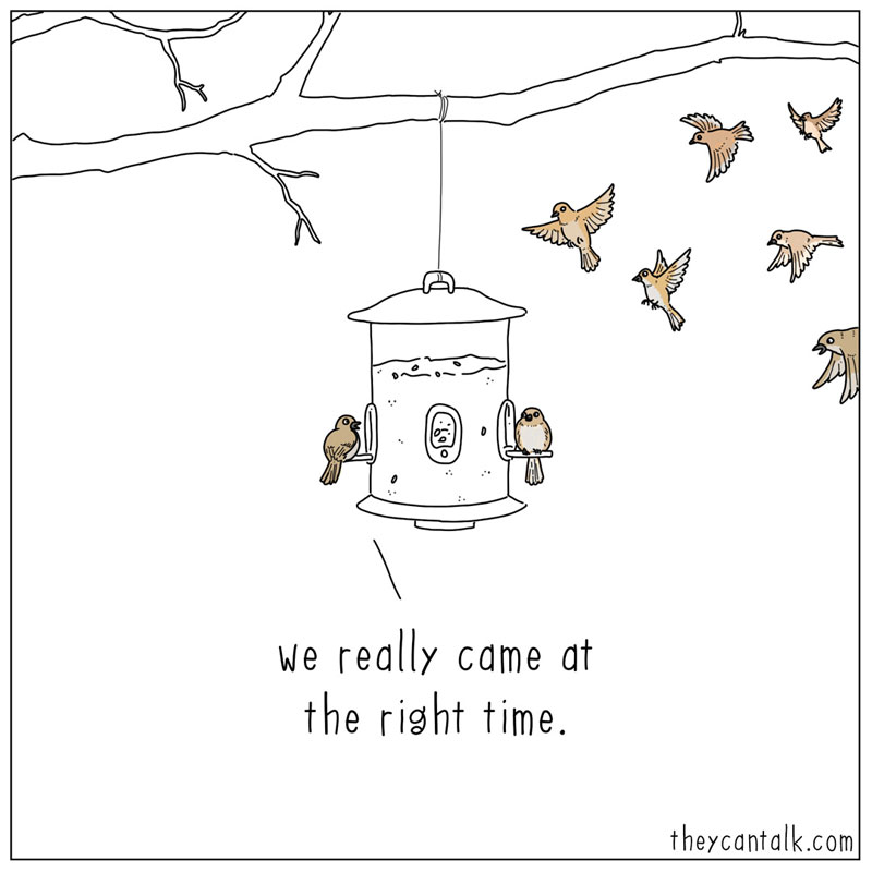 https://cdn.tinyview.com/they-can-talk/2026/04/01/feeder/birds_feeder.jpg