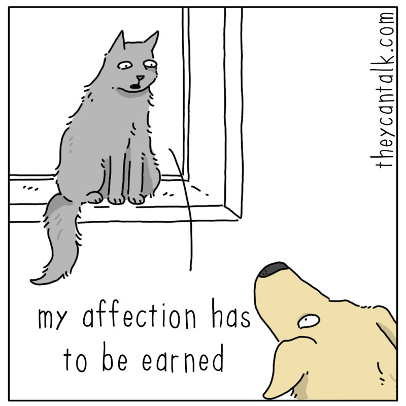 https://cdn.tinyview.com/they-can-talk/2026/04/09/affection/dog_affection1.jpg