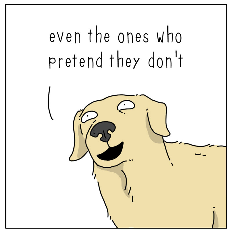 https://cdn.tinyview.com/they-can-talk/2026/04/09/affection/dog_affection3.jpg