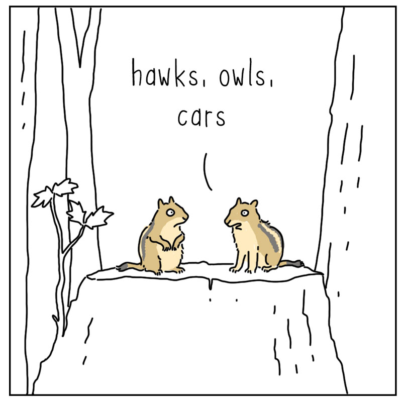 https://cdn.tinyview.com/they-can-talk/2026/04/10/fears/chipmunk_fears2.jpg