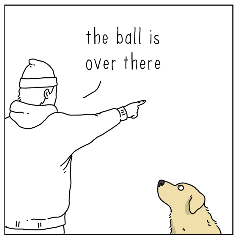 https://cdn.tinyview.com/they-can-talk/2026/04/16/point/dog_point1.jpg