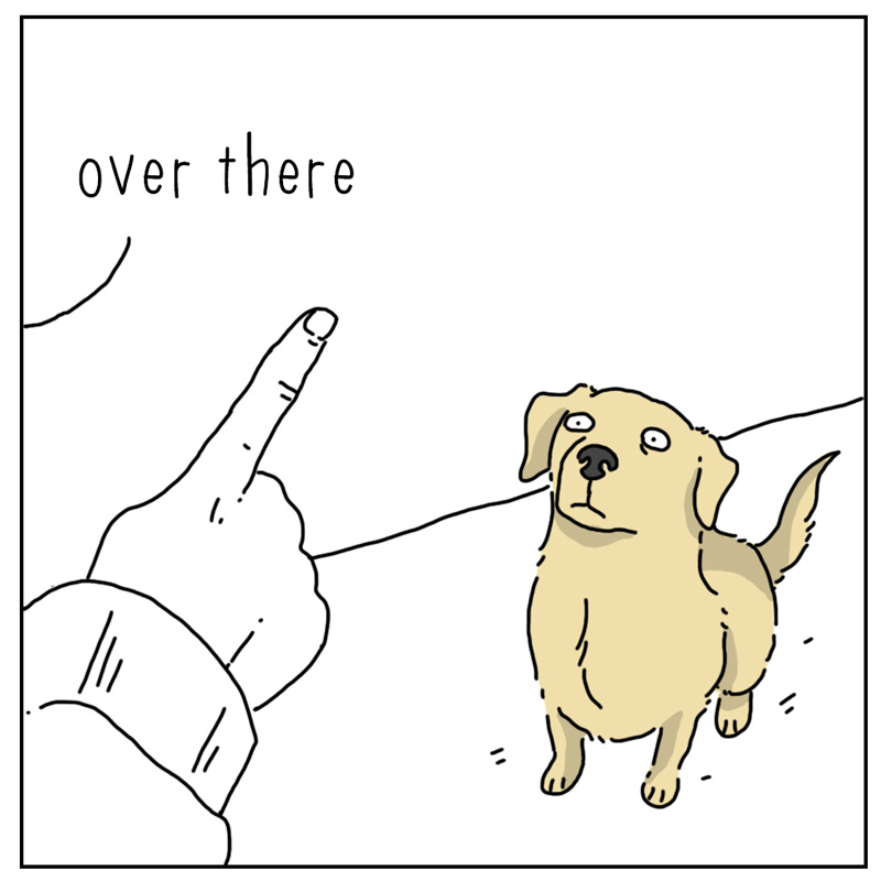 https://cdn.tinyview.com/they-can-talk/2026/04/16/point/dog_point2.jpg