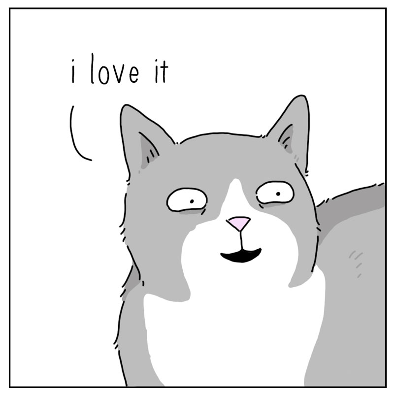 https://cdn.tinyview.com/they-can-talk/2026/04/17/torn/cat_hatebirds2.jpg