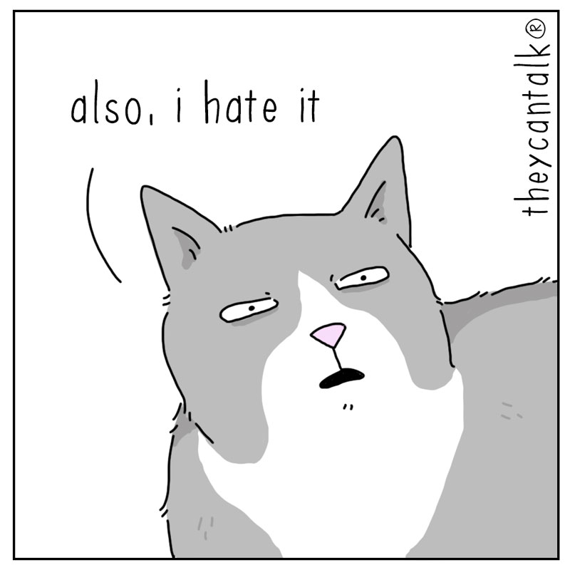 https://cdn.tinyview.com/they-can-talk/2026/04/17/torn/cat_hatebirds3.jpg