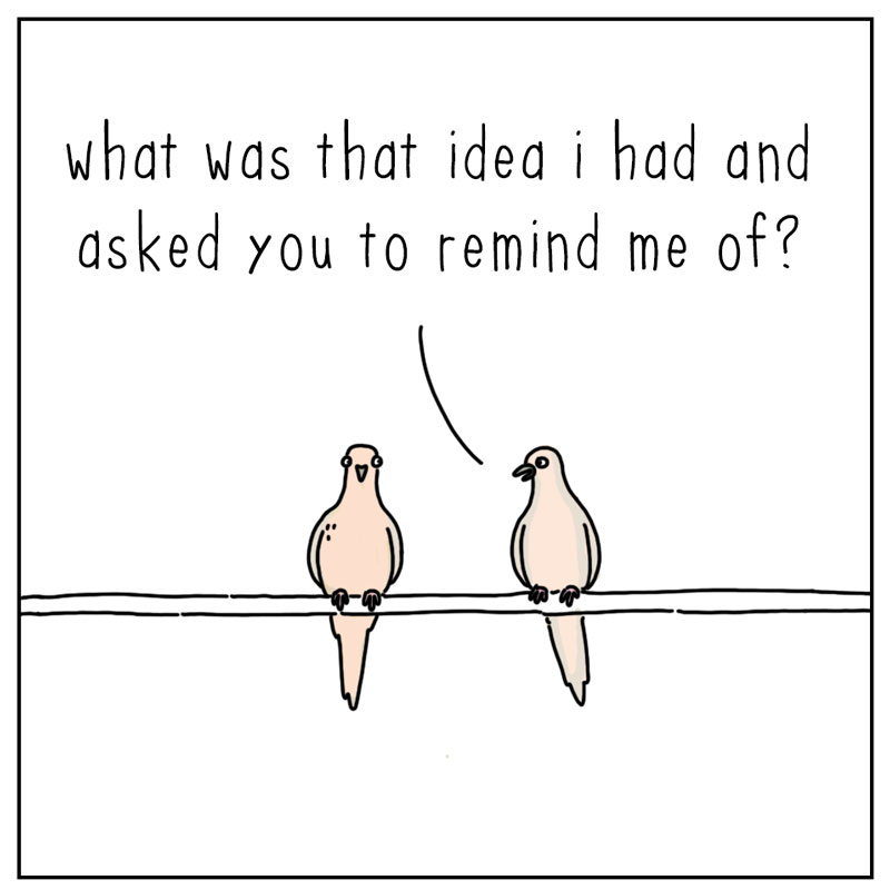 https://cdn.tinyview.com/they-can-talk/2026/04/22/reminder/pigeon_reminder1.jpg
