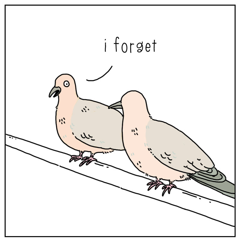 https://cdn.tinyview.com/they-can-talk/2026/04/22/reminder/pigeon_reminder2.jpg