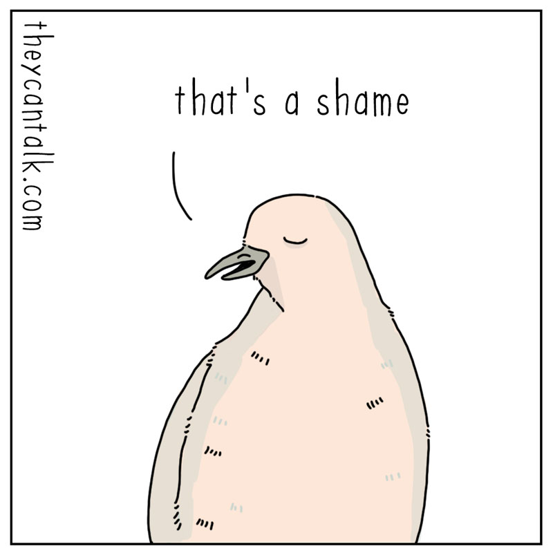https://cdn.tinyview.com/they-can-talk/2026/04/22/reminder/pigeon_reminder3.jpg
