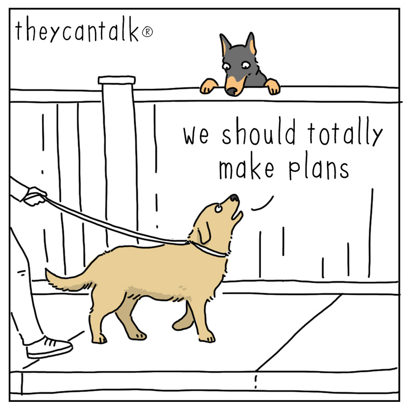 https://cdn.tinyview.com/they-can-talk/2026/04/27/plan/dog_plans1.jpg