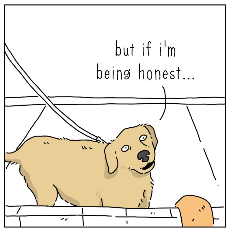 https://cdn.tinyview.com/they-can-talk/2026/04/27/plan/dog_plans2.jpg
