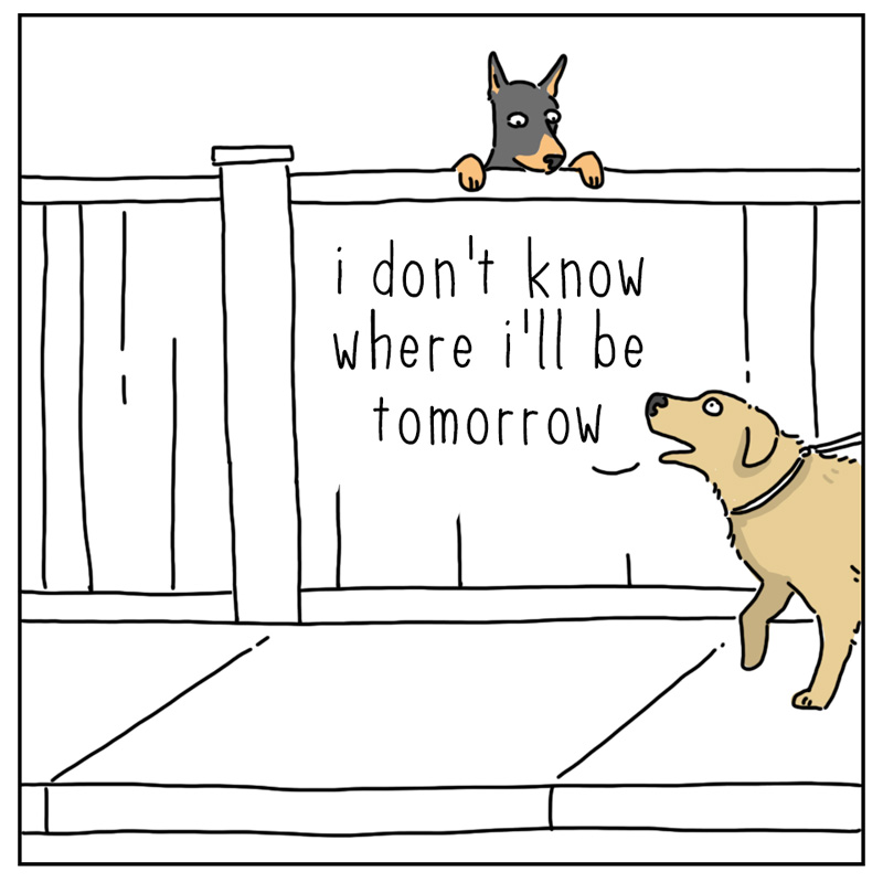 https://cdn.tinyview.com/they-can-talk/2026/04/27/plan/dog_plans3.jpg