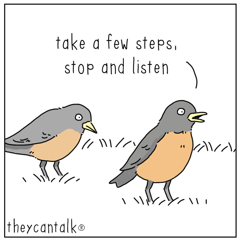 https://cdn.tinyview.com/they-can-talk/2026/04/29/listen/bird_gossip1.jpg