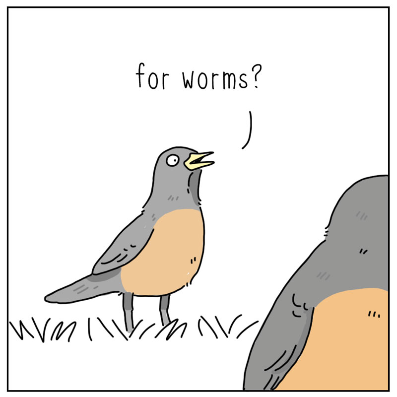 https://cdn.tinyview.com/they-can-talk/2026/04/29/listen/bird_gossip3.jpg