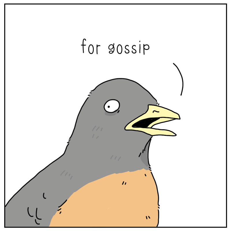 https://cdn.tinyview.com/they-can-talk/2026/04/29/listen/bird_gossip4.jpg